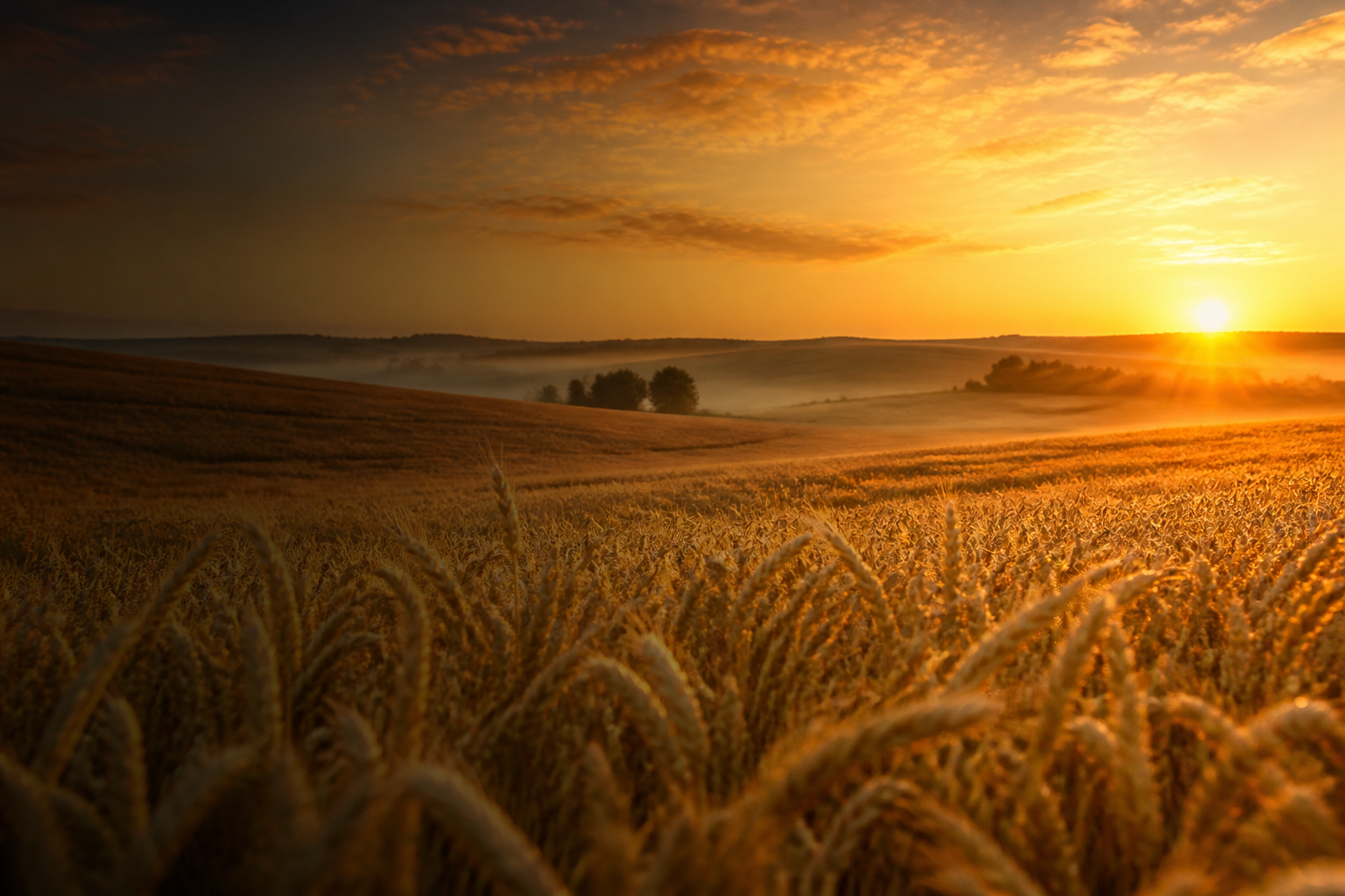 United Kingdom · Global Reach